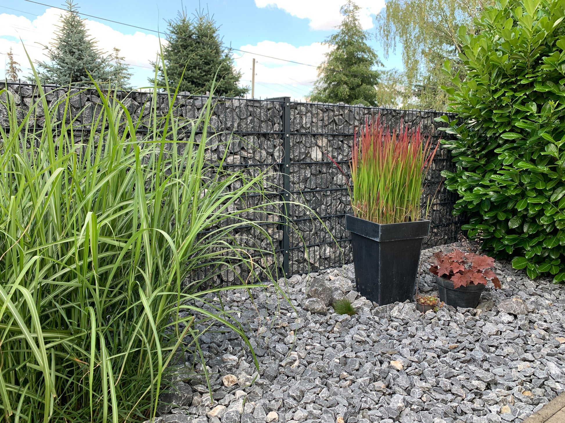 Gabionen-Zaunanlage aus Metall mit Steinen, Sichtschutz im Garten – MY-Zaunsysteme